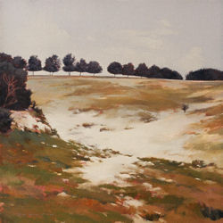 Jeff Dodge, December Field