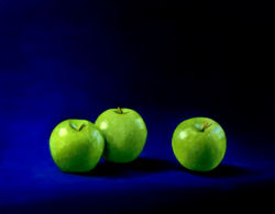 Five Seckle Pears, Elizabeth Lamp