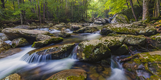 Smoky Mountains, Photo by Ken Smiegowski