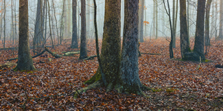 VA Scenics - Fall, Photo by Ken Smiegowski