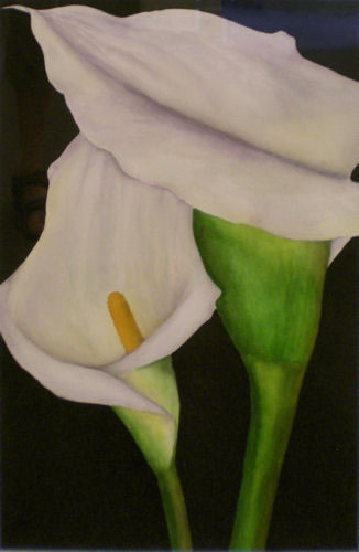 Frances D. Jones, Calla Lilies, Merit Award