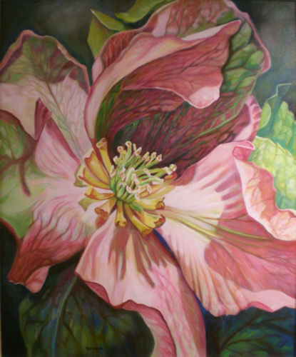 Polly H. Nunn, Lenten Rose, Merit Award