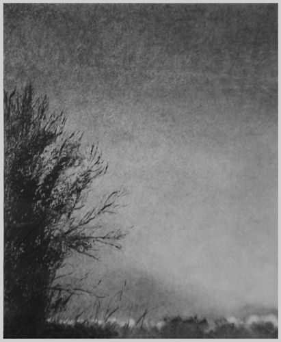 Third Place<br>Willa Cox<br><em>Altered Monotype, No. 14</em>